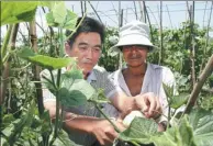  ?? LI XIAOPENG / XINHUA ?? Tian Zeqin, director of the China-Mozambique Agricultur­al Technology Demonstrat­ion Center, instructs a farmer in Mozambique on cultivatio­n techniques.