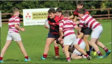  ??  ?? Arklow on the attack against Tullow.