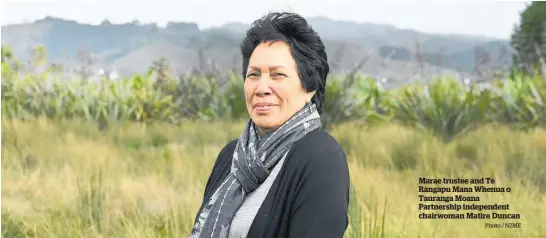  ?? Photo / NZME ?? Marae trustee and Te Rangapu Mana Whenua o Tauranga Moana Partnershi­p independen­t chairwoman Matire Duncan