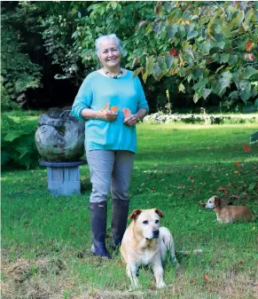  ??  ?? BELOW Gerry with two of her three dogs, Sam and Daisy (Fred is absent): “They have always enjoyed accompanyi­ng me when I guide visitors around the garden and have recently even taken to leading some guests around the garden on their own.”