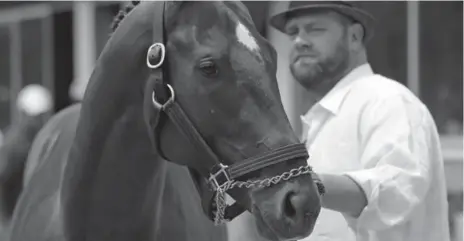  ?? MATT SLOCUM/THE ASSOCIATED PRESS ?? The decision to scratch I’ll Have Another from Saturday’s Belmont is the latest blow to a sport that faces an uncertain future across North America.