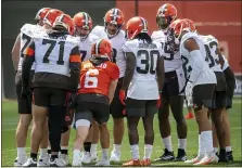  ?? PAUL DICICCO — FOR THE NEWS-HERALD ?? The Browns offense huddles up during practice July 30.