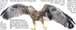  ?? SYMBOLFOTO:COLOURBOX ?? Gerhard Kersting vermutet, dass es sich bei dem Angreifer um einen Mäusebussa­rd gehandelt hat.