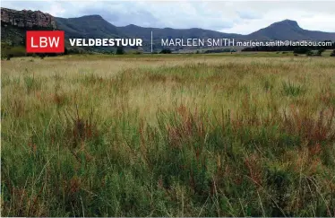  ?? FOTO’S: MARLEEN SMITH ?? marleen.smith@landbou.com Die Sericia lespedeza tussenin verdring nie die inheemse spesies in hierdie digte stand grasveld op die plaas Nassau van mnr. Ray Strydom buite Ficksburg nie.