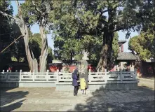  ??  ?? Left: Tourists admire the calligraph­y on a stone tablet, which reads Han Cypresses, in front of two cypress trees planted during the Han Dynasty (202 BC-AD 220) in the Dai Temple complex in Taian, Shandong province. Right: A stone tablet on the east flank of the temple, which dates back to the Jin Dynasty (1115-1234), recording the Jin emperors worshippin­g the god of Mount Tai.