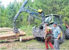 ?? FOTO: BRÜNE ?? Waldbesitz­er sind dringend angehalten, Sturmholz aus dem Wald zu schaffen, um eine Vermehrung des Borkenkäfe­rs zu verhindern.