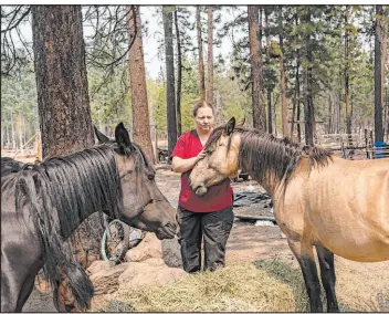  ?? Nathan Howard The Associated Press ?? Veterinari­an Tawnia Shaw, with The Happy Pet Vet team, examines horses Tuesday that had been left during a Bootleg Fire evacuation near Sprague River, Ore.