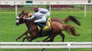  ?? (Pic: Robert Poulin) ?? Al Shaqab Racing’s Joud Al Cham and Mounjared Al Cham finished 1-2 in the Prix Baroud II race for Purebred Arabians at Toulouse in France on Saturday.