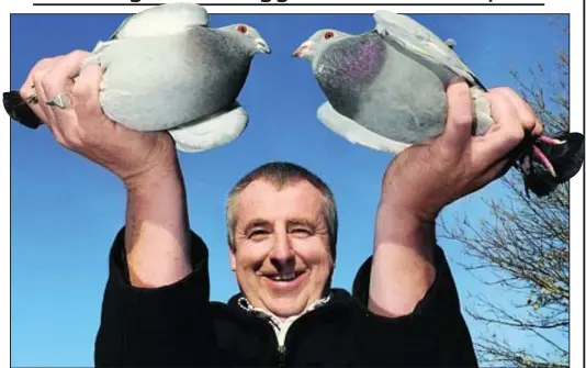  ??  ?? Confession: Eamon Kelly with his two birds from the Queen’s loft. He now faces a disciplina­ry inquiry by the National Flying Club