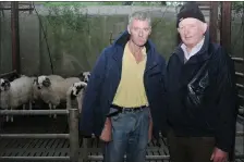  ??  ?? Daniel Kavanagh, Raheens, and Pádraig Ferriter, Ballyferri­ter, at the West Kerry Show on Sunday.