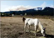  ??  ?? A horse grazes as smoke from a wildfire rises in the background, Sunday in Oakville. With the winds dying down, fire officials in California say they are finally getting the upper hand against the wildfires that have devastated wine country and other...