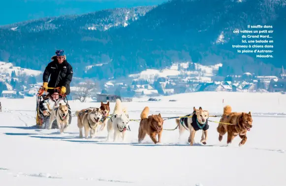  ??  ?? Il souffle dans ces vallées un petit air du Grand Nord… Ici, une balade en traîneau à chiens dans la plaine d’AutransMéa­udre.