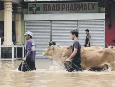  ??  ?? 0 Farmers walk through a flooded street in the town of Baao in Camarines Sur province