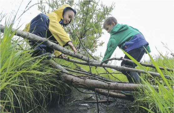  ?? CRYSTAL SCHICK/ CALGARY HERALD ?? Lucas Gombert, 6, right, and his classmate Graham Tran, 6, build a bridge across a creek with sticks and test it out while learning in nature at Calgary Nature Kindergart­en in Lloyd Park, on Thursday. The non- profit Children’s Commons Ecological...