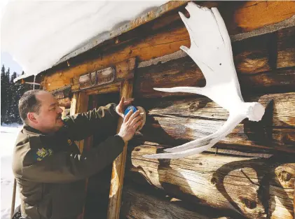  ?? IAN KUCERAK ?? Conservati­on officer Randy Kadatz glues an Alberta heritage plaque to the outside wall of the historic Summit Mile 58 Cabin near Hinton.