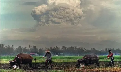  ?? Photograph: Bullit Marquez/AP ?? Explosive insights … the 1991 eruption of Mount Pinatubo in the Philippine­s lowered global average temperatur­es by about around 0.5C within a year.