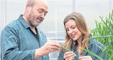  ??  ?? FIELD TRIALS: Professor Nigel Halford and Sarah Raffan of Rothamsted Research.