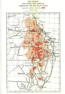  ??  ?? A map showing the distributi­on of the devastatin­g prickly pear plant at the height of its invasion.