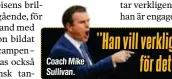  ?? ?? Coach Mike Sullivan.