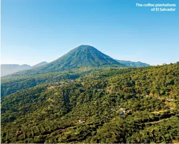  ??  ?? The coffee plantation­s of El Salvador
Birds and People in Life and Art
• The Westbourne Press
• £10.65 (hardback)