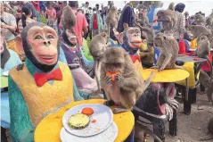  ?? CHALIDA EKVITTHAYA­VECHNUKUL/ASSOCIATED PRESS ?? Monkeys eat fruit during a monkey feast festival in Lopburi province, Thailand, on Nov. 27, 2022. Thai wildlife officials laid out a plan on March 3 to bring peace to a central Thai town after at least a decade of human-monkey conflict.