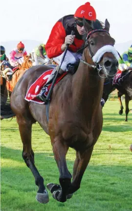  ??  ?? SCRATCHING. African Night Sky will not run in the Grade 1 World Sports Betting Champions Cup over 1800m at Greyville on Saturday 28 July.