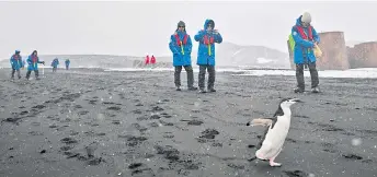  ?? ?? Tourist takes pictures of a chinstrap (Pygoscelis antarcticu­s) penguin as they visit Deception Island.