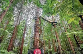  ??  ?? The stunning entrance to Redwoods Altitude.