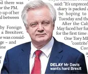  ??  ?? DELAY Mr Davis wants hard Brexit