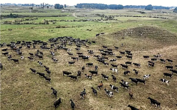  ??  ?? Taranaki farmers faced the challenges of a dry summer.