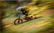  ?? (Photo Matt Wragg)) ?? Les forêts du Turini et de Moulinet s’apprêtent à voir défiler la crème de l’enduro maralpin et italien, ce dimanche à l’occasion du Bévérally,  étape de l’Urge  Enduro Tour . .