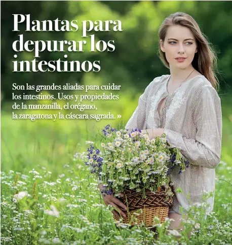  ??  ?? La sección Farmacia Verde a partir de este número se llamará Sano y Natural. Brindando una guía de remedios caseros para mejorar la salud diaria, teniendo en cuenta que el médico cura y la naturaleza sana.