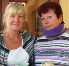  ??  ?? Mary Rynhart and Anne O’ Connor at coffee day in Mary’s home, Ballyfoley.