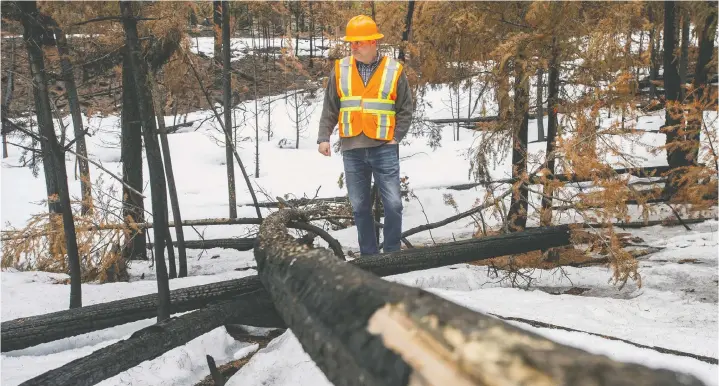  ?? JASON PAYNE ?? The town of Logan Lake was spared from the destructiv­e force of the 2021 Tremont fire due to a combinatio­n of good firefighti­ng and good preparatio­n. Garnet Mierau, a registered profession­al forester, is a consultant who helps manage Logan lake's community forest.