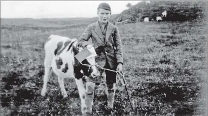  ??  ?? A young handler with his prize-winning dairy heifer from Lismore Show in the early 1930s.