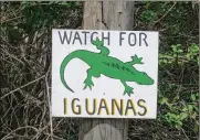  ?? DREAMSTIME/TNS ?? Watch for iguanas sign.