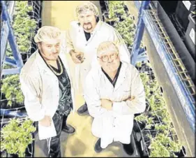  ?? MAURICE VENIOT /CA NADIA N PRE SS ?? Organigram announced last November it had partnered with the Trailer Park Boys to develop a line of branded marijuana products.