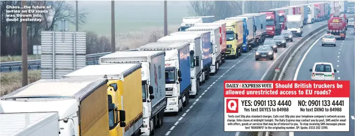  ?? Pictures: PA ?? Chaos...the future of lorries on EU roads was thrown into doubt yesterday