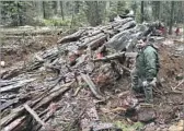  ?? Rich Pedroncell­i Associated Press ?? RANGER Tony Tealdi beholds the splintered behemoth at Calaveras Big Trees State Park.