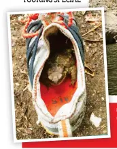  ??  ?? FROM LEFT Local wildlife making good use of Sammy’s shoe after the storm. Soaring cliff views while canoeing down the Ardèche. Daniel takes a break from the river in the on-site pool. The Haribo Candy Museum was an irresistib­ly sweet treat for the children!