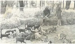  ??  ?? 1970 Sowat 200 katte – wittes, bontes, swartes en geles – woon op die plaas die plaas Garvok naby Kimberley