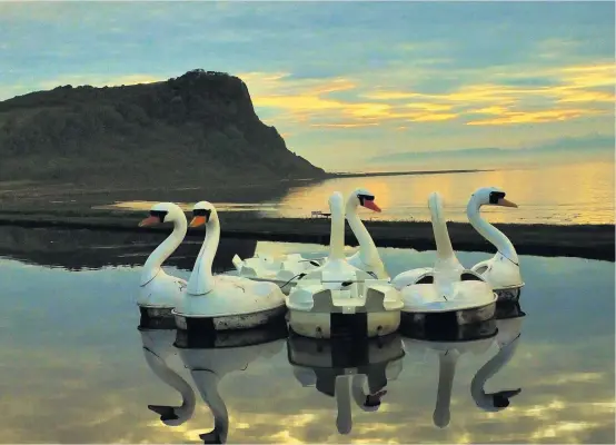  ??  ?? Swan song Talented Cambuslang photograph­er Jimmy Murphy took this twilight shot at Craig Tara in Ayr