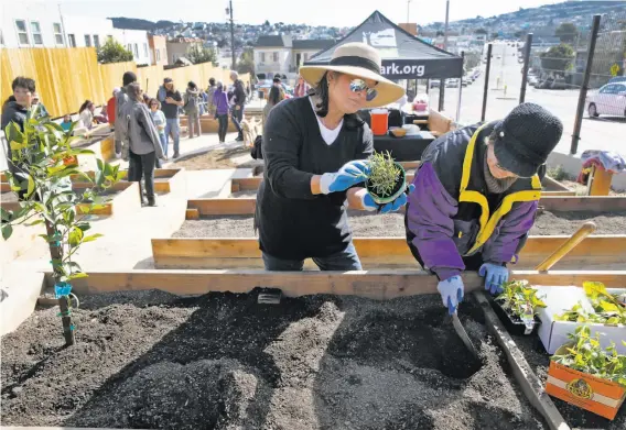  ?? Photos by Paul Chinn / The Chronicle ?? Maria Uchi fills her plot at the Geneva Community Garden in Ingleside with edibles, including a calamansi citrus tree, with her sister-in-law Belen Uchi (right).