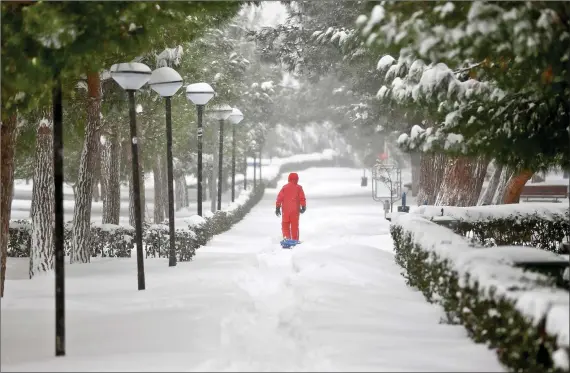  ?? REUTERS ?? SEASON OF SNOW: A boy walks under snow-covered trees during a snowfall in Istanbul, Turkey, on Saturday.