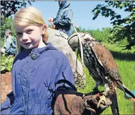  ?? ERIC MCCARTHY/JOURNAL PIONEER ?? Becky Bridges, a student at O’Leary Elementary School, took full advantage of a recent field trip to hold a trained saker falcon.