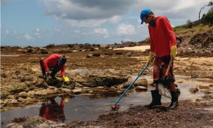  ??  ?? Volunteers help in the work to recover oil at the Itapuama beach, in Cabo de San Agostinho, Brazil, on Tuesday. Photograph: Diego Nigro/ EPA