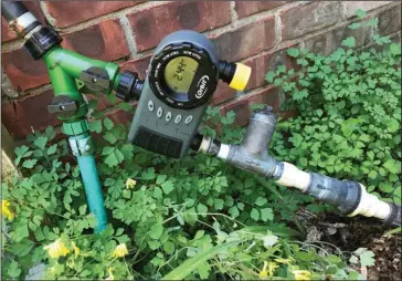  ?? The Associated Press ?? EASILY AUTOMATED: This June 26 photo shows the beginning portion of a drip irrigation system at a home in New Paltz, N.Y. Watering with drip irrigation has many benefits, not the least of which is that it is easily automated by merely setting a timer....