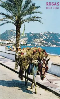  ?? CATALÁN IBARZ-1979 ?? Explosión de color. Toros en Tossa de Mar, patines a pedales en El Port de la Selva, el burro cargado de botijo, la frontera de El Pertús o el escenario con una concha que se eleva en Canyelles (Roses) reflejan la diversidad de esa costa