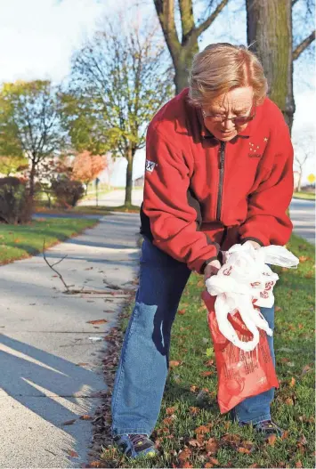  ?? PAT A. ROBINSON / MILWAUKEE JOURNAL SENTINEL ?? Kay Wilke, 83, picks up trash on daily walks in St. Francis. To view more photos, go to jsonline.com/news.