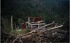  ?? AP/RAMON ESPINOSA ?? A damaged house sits among broken trees days in the San Lorenzo neighborho­od of Morovis on Sept. 30, a little more than a week after Hurricane Maria struck Puerto Rico.